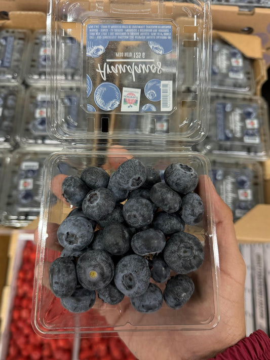 Arandano 500 gr